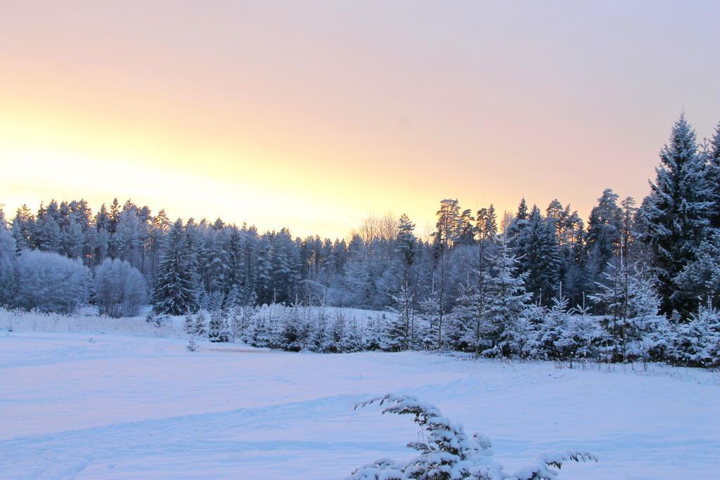 Karumetsa Apartment Otepää Buitenkant foto