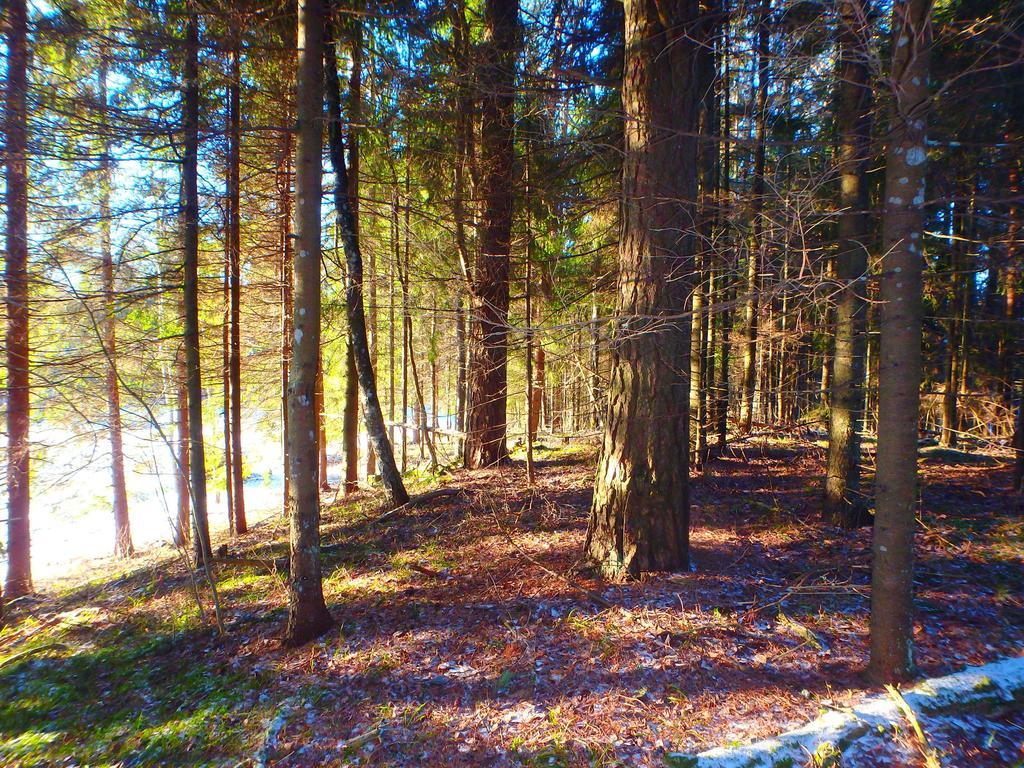 Karumetsa Apartment Otepää Buitenkant foto